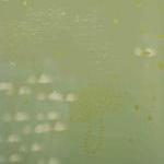 Layers- detail